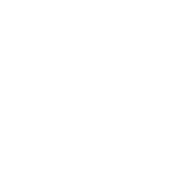 Austin Fire Department logo